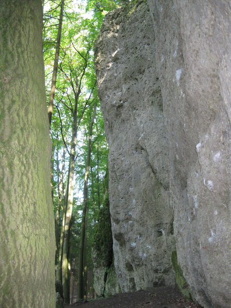 Looking from where the path leads into the crag.