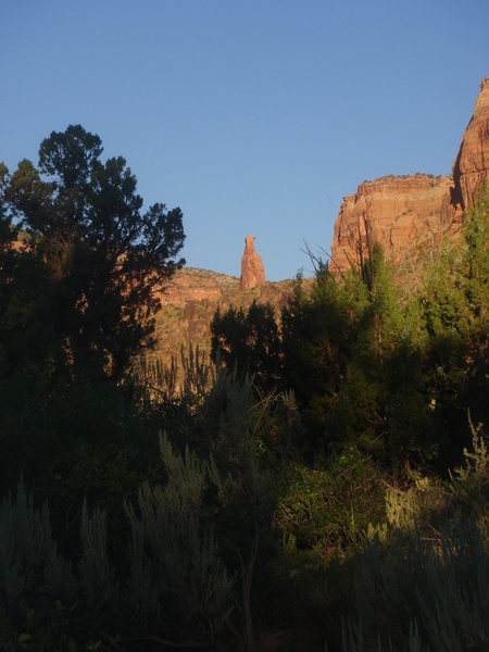 Indy from the hike in.