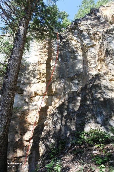 Pseudosuga 5.10c, Topo