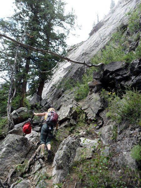 "Two Ears" starts next to the pine tree in this photo which is growing right next to Weller Slab beneath (maybe 12' left) the Zanzibar Dihedral.  