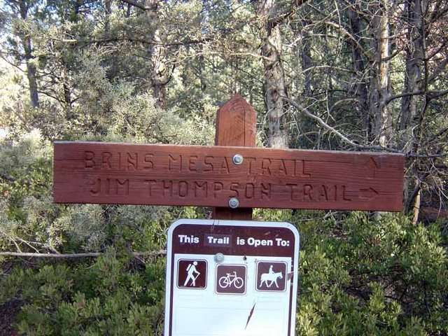 My great grandfarthers trail in Oak Creek Canyon, AZ.