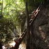 Swimming and climbing at Summersville Lake.  Summer road trip 2011.  