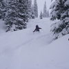 Selkirk Powder - March 2010