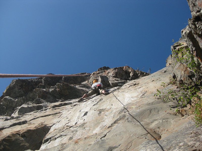 Oscar nearing the roof on Honeypepper