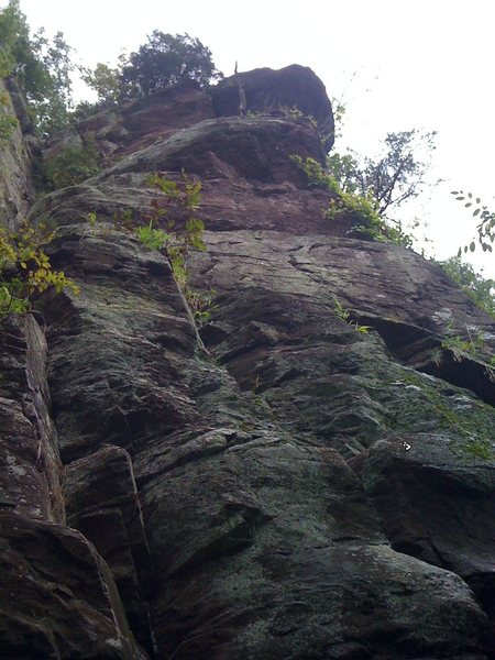 Orangutan Buttress. A new line of bolts<br>
went up in summer 2011. <br>
<br>
The Long Chimney goes up the corner on the far left side of the picture.