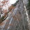 Part of the Premarital Wall - It looks nasty here, all wet, but it is about 80 feet tall, just off vertical and covered with finger cracks. There is one route currently here, Premarital Blisters 5.11 that needs to be rescrubbed.