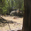 The Cedar boulder from the Trail (roughly).