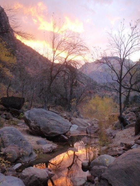 Zion at Sunset