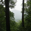 Fox Mtn thru the trees from atop main boulder wall. 