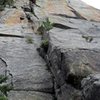 Looking up Chickenhead (5.8).