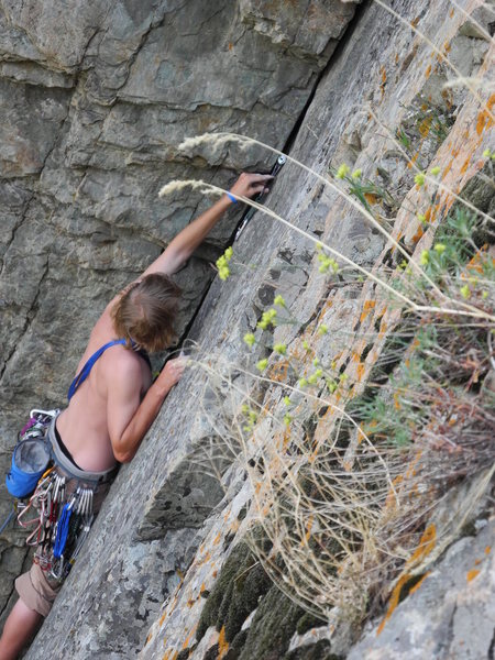 Steve placing gear 