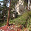 Early fall colors at The Sunshine Wall, Spearfish Canyon, South Dakota.