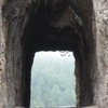 Misty Pine Tunnel 