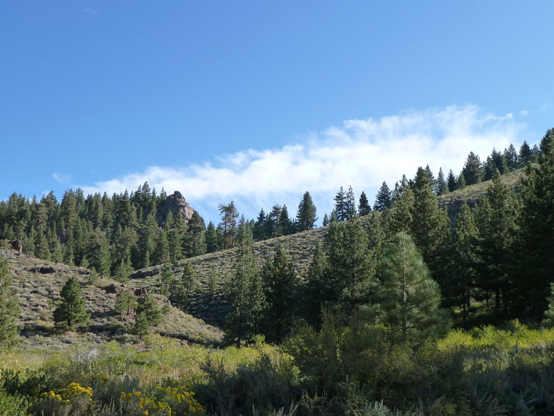 Area 13 from the parking area, Clark Canyon