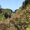 looking up toward Powerline Boulder.