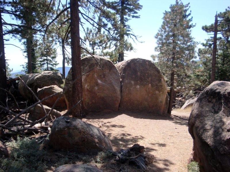 View of New Ways to get from A to B (located in the scoop just to the right of the pine tree).