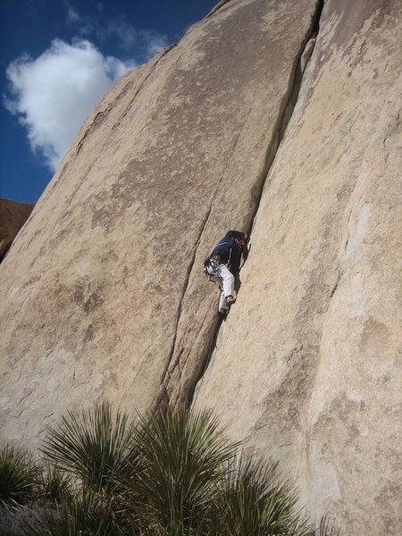 leading pope's crack 10a.