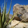 alexis bouldering at the chocolate boulders.  V4.