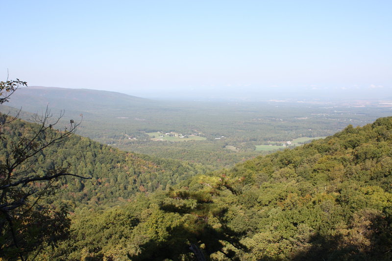 view from the ledge of where the Rhino Knows is