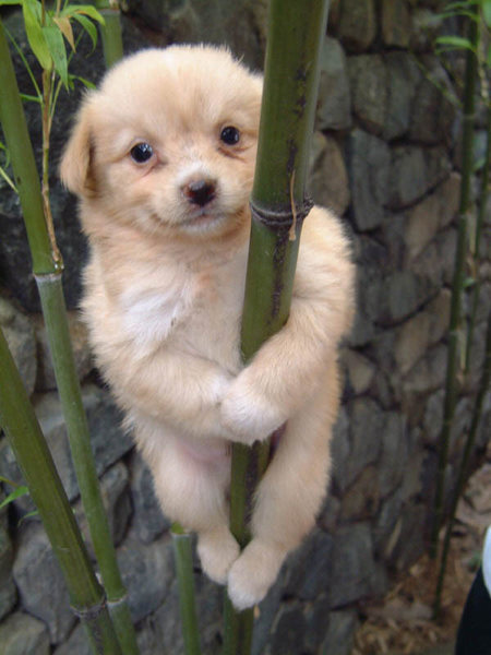 this is how i like to climb: hang on tight and smile