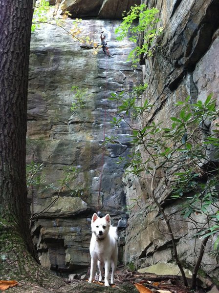 Me on Springer 5.10b