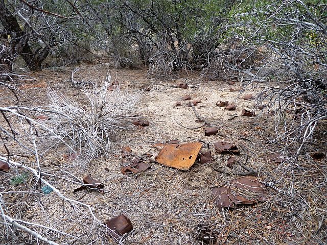 Relics from the past, Holcomb Valley Pinnacles