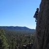 Lluis climbing, with the pine forest below.