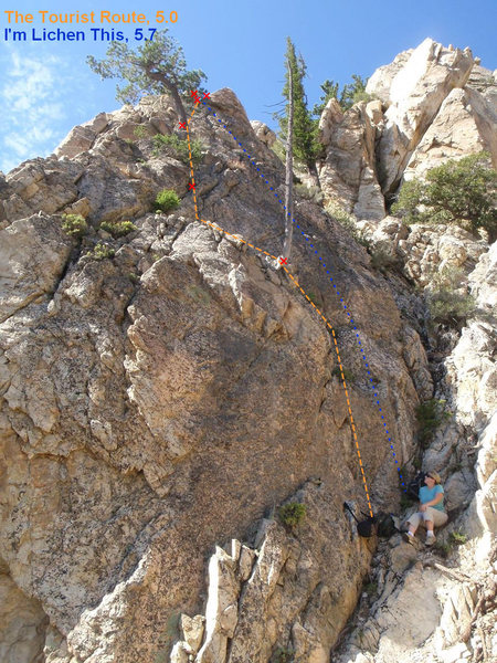 Amanda and the topo for Choss Boss Crag.