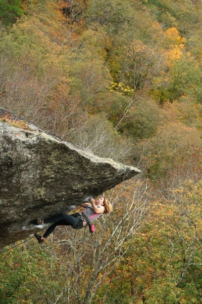 lily on the upper moves... from a new angle