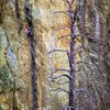 Todd Skinner on "Man Afraid of His Horses" (5.14a), Mt. Rushmore
<br>

<br>
Photo by Bill Hatcher