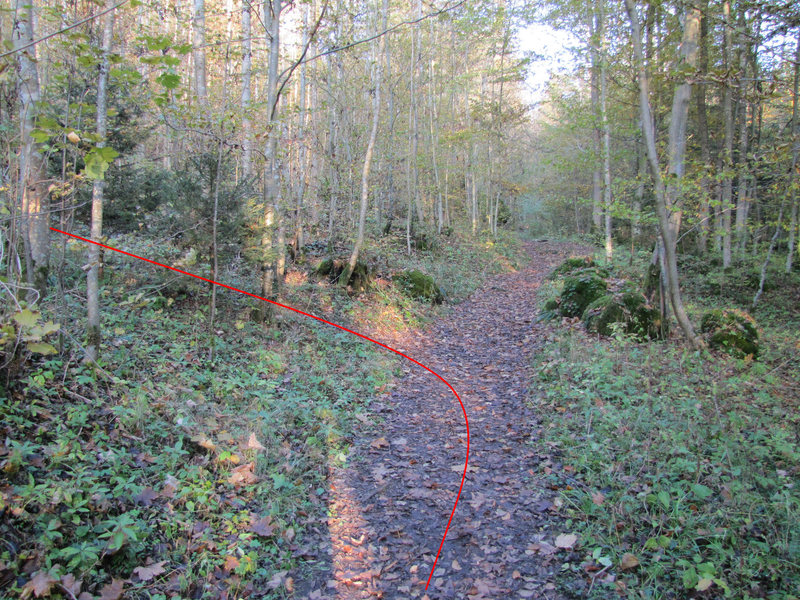 Here's where you turn left to head uphill to the crag.