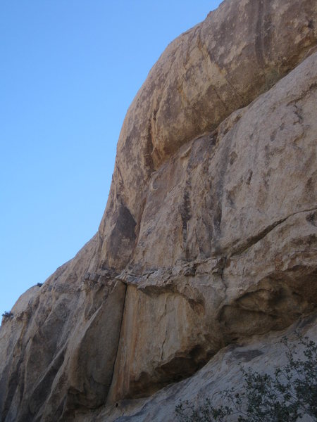 AFRO Blues - Left Center North Face