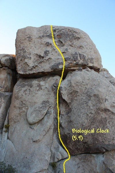 Biological Clock (5.9), Joshua Tree NP<br>
 