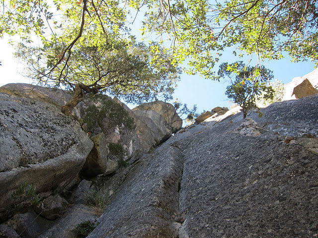 A look up the loggerhead ledge route  . 