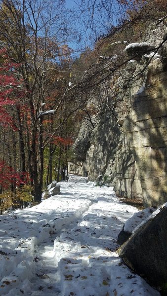 The carriage trail with leaves on the trees and snow on the ground.