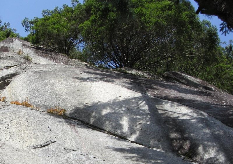 2nd pitch of Bobcat, from base. Savor them chickenheads.  Bobcat Cringe is the thin splitter at the junction between light and dark, right of the bushy dihedral.