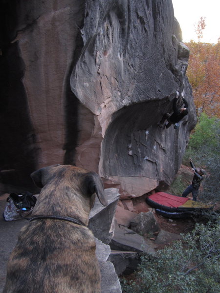 That's me chicken winging on an end of the day ascent of Black Tide. 