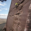 Bottom section of Jungle Wall. Nov 21, 2011.