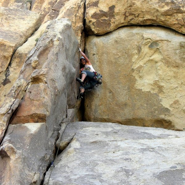 March 2011<br>
<br>
Funky Dung, Joshua Tree NP, CA