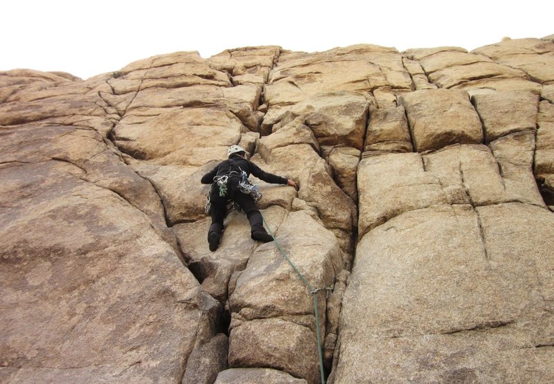 Trying to warm up on an easy J-Tree climb. ; /