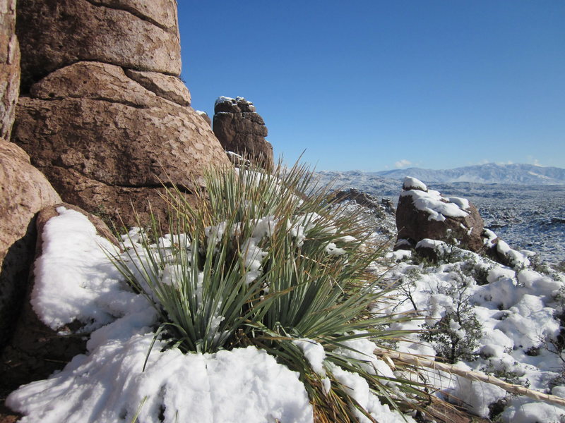 Another warm, sunny day in the Arizona desert...