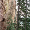 Choose Life climbs the black streak just left of/behind the left of the two tall trees. Photo: T. Lanzano.