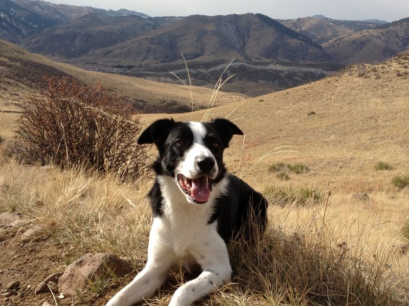 Rhys and I on a hike