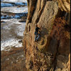 Solo top-roping at Castlewood Canyon.<br>
Photo by Blitzo.