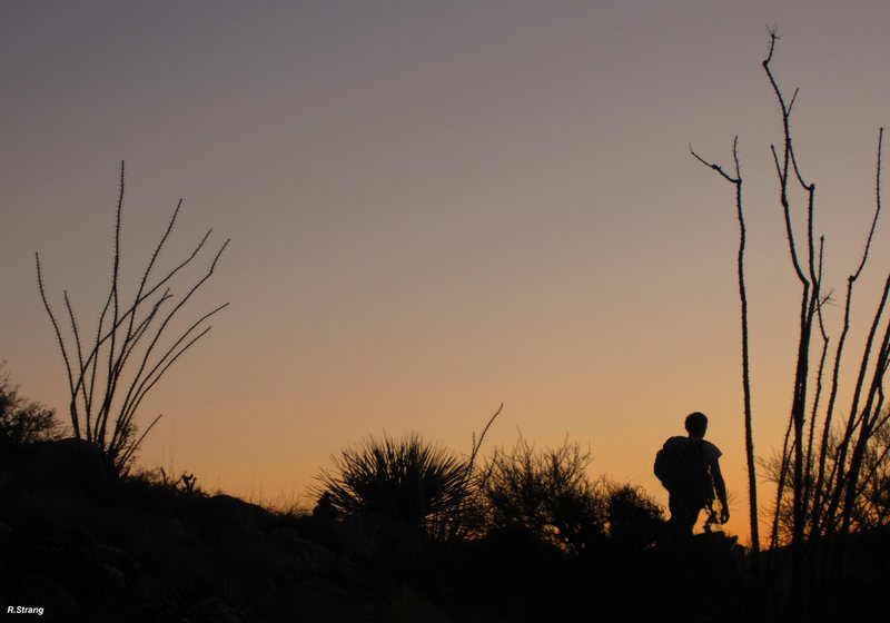 The typical "AFTERDARK" hike down the ridge