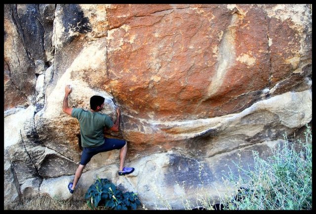 Traverse in J Tree. Location: Forgotten. 