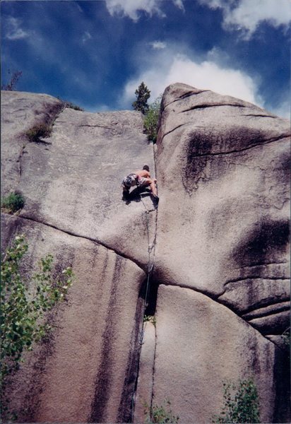 Charlie on Urinary Tract, Independence Pass.