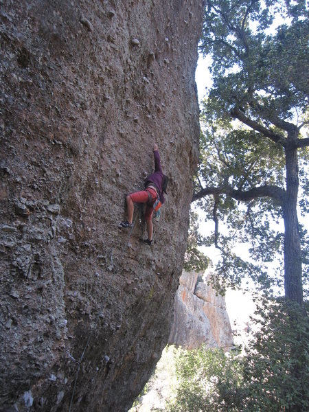 Climbing at the pinnacles