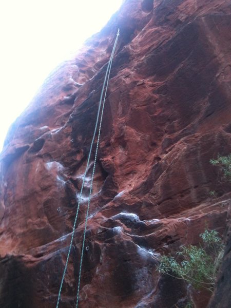 Rebel Without a Pause toprope. Red Rock Nevada. 5.11a