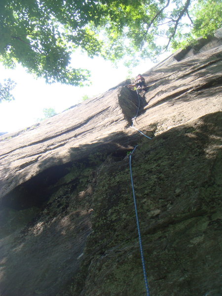 lucander on p. 1 of Green Onion (5.8) t Poke-O